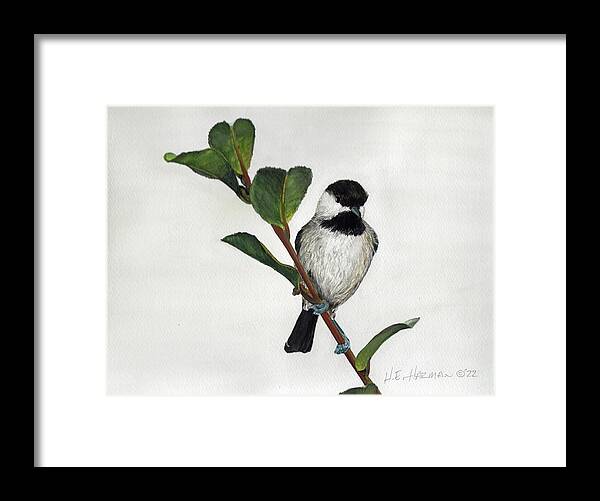 Branch Framed Print featuring the painting Carolina Chickadee by Heather E Harman