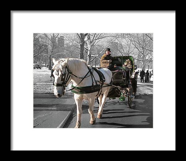 Horse Framed Print featuring the photograph Carriage Ride by Jim Mathis