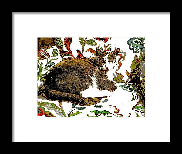 Cat Framed Print featuring the photograph Cat On A Chair by Alida M Haslett