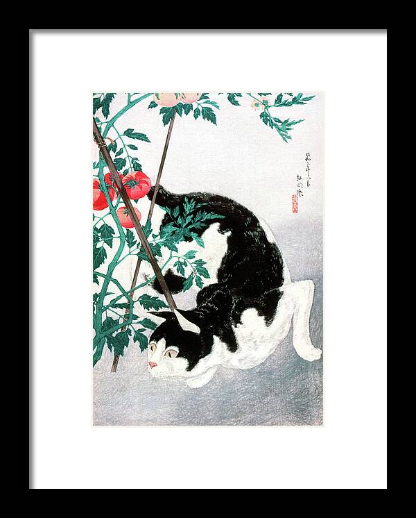 Japan Framed Print featuring the painting Cat with Tomato Plant by Hiroaki Takahashi