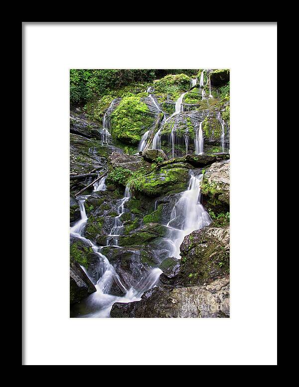 Catawba Falls Framed Print featuring the photograph Catawba Falls 18 by Phil Perkins