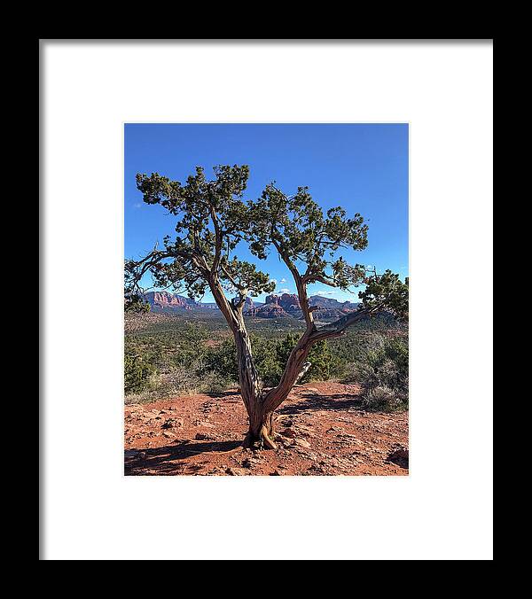 Arizona Framed Print featuring the photograph Cathedral Rock in a Natural Frame by TL Wilson Photography by Teresa Wilson