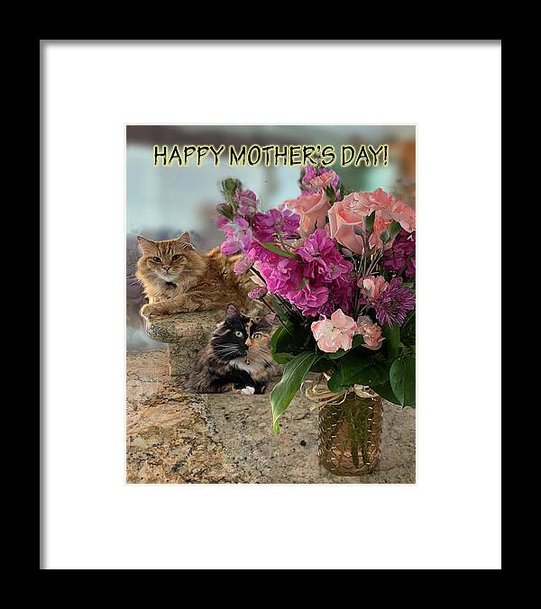 Cats Framed Print featuring the photograph Cats and Flowers for Mothers Day by Karen Zuk Rosenblatt