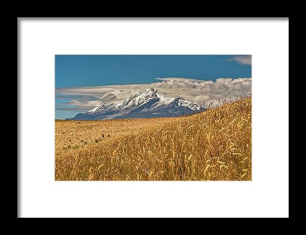 Andes Framed Print featuring the photograph Cayambe and Andes Paramo by Henri Leduc
