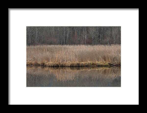 Wetlands Framed Print featuring the photograph CDpx_01274 by Clark Dunbar
