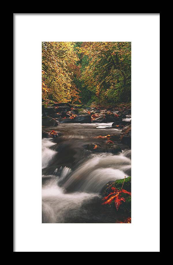Fall Colors Framed Print featuring the photograph Cedar Creek Spice Middle by Darren White