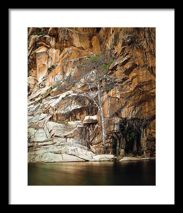 Waterfall Framed Print featuring the photograph Cedar Creek Tree by Jermaine Beckley