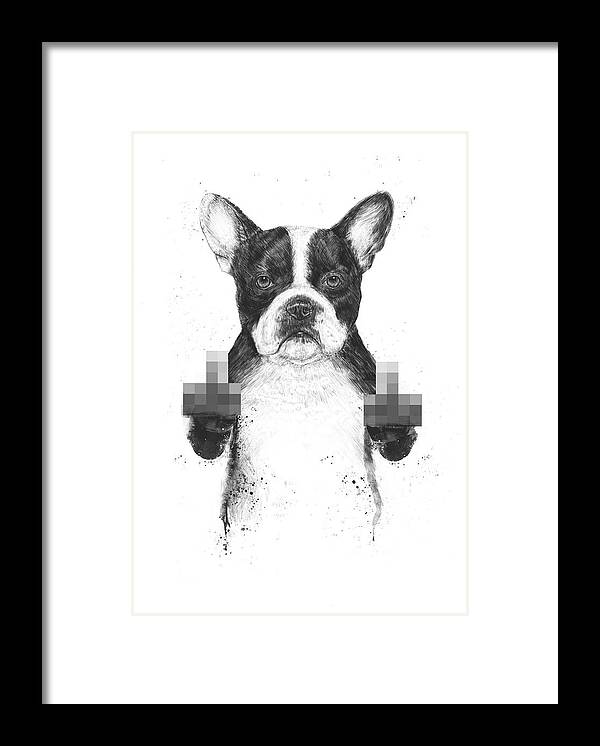 Dog Framed Print featuring the mixed media Censored dog by Balazs Solti