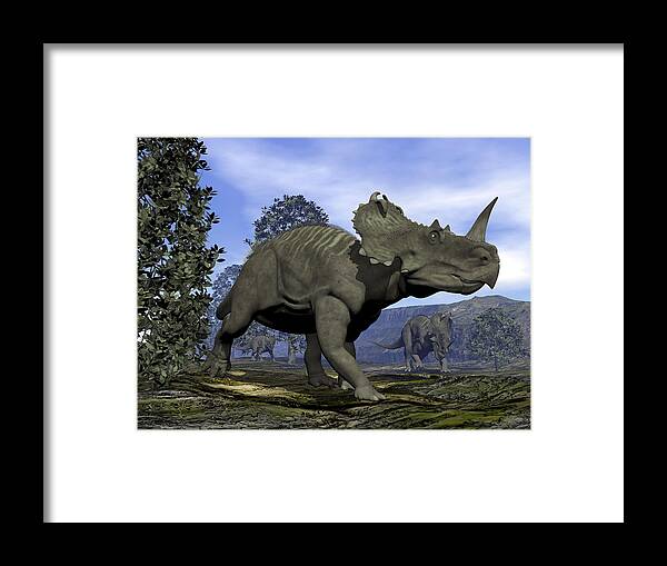 Toughness Framed Print featuring the drawing Centrosaurus dinosaurs walking amongst magnolia trees. by Elena Duvernay/Stocktrek Images