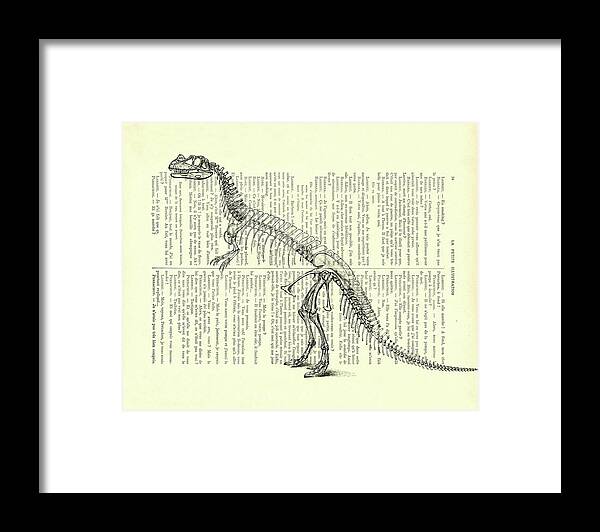Dino Framed Print featuring the mixed media Ceratosaurus Skeleton by Madame Memento