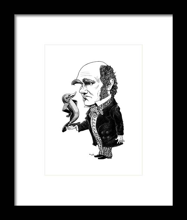 Cartoon Framed Print featuring the drawing Charles Darwin by Mike Scott
