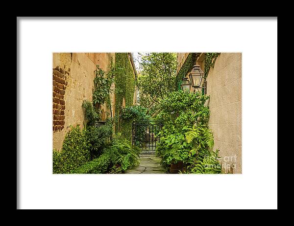 Charleston Framed Print featuring the photograph Charleston Garden Walkway - View 2 by Sturgeon Photography