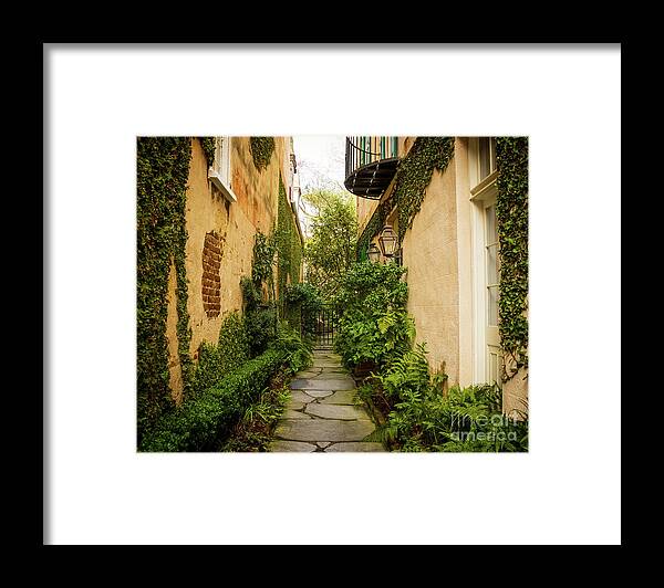 Charleston Framed Print featuring the photograph Charleston Garden Walkway - View 8 by Sturgeon Photography