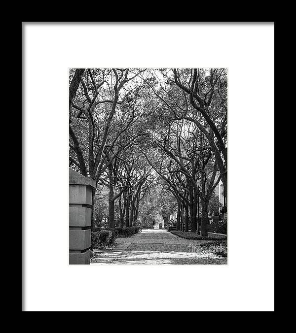 Charleston Framed Print featuring the photograph Charleston Waterfront Park walkway, S.C, black and white. by Sturgeon Photography