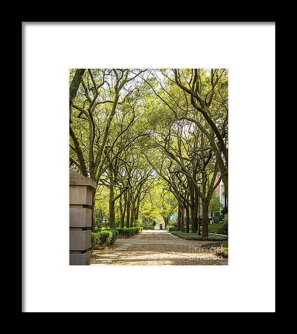 Charleston Framed Print featuring the photograph Charleston Waterfront Park walkway, S.C. by Sturgeon Photography