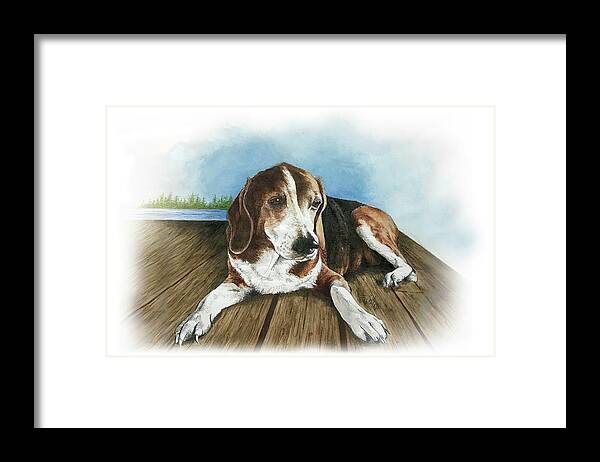 Commissioned Beagle Watercolour Art By Patrice Framed Print featuring the painting Charlie by Patrice Clarkson