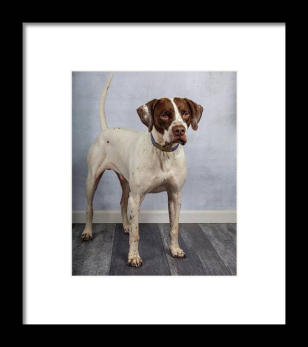January2020 Framed Print featuring the photograph Charlie Standing by Rebecca Cozart