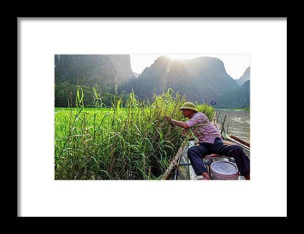 Ba Giot Framed Print featuring the photograph Checking Bird's Nest by Arj Munoz