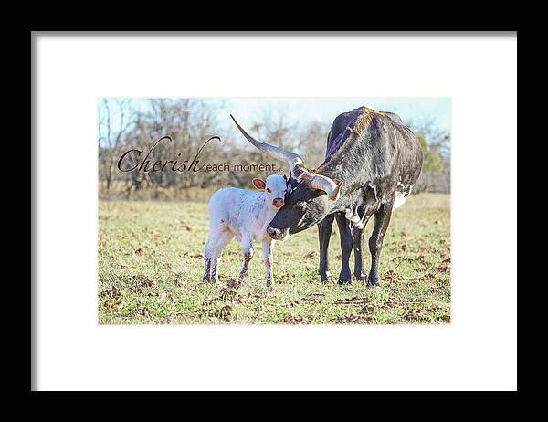 Texas Longhorn Cow Picture Framed Print featuring the photograph Cherish each moment with Little Lady and her calf by Cathy Valle
