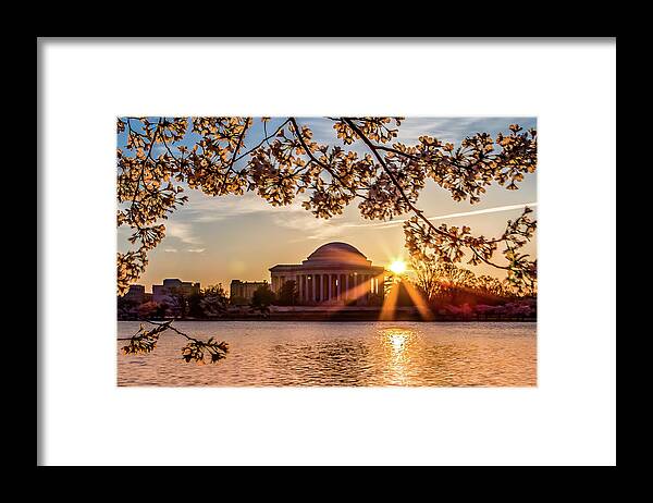 Cherry Blossoms Framed Print featuring the photograph Cherry blossoms and Jefferson Memorial by Robert Miller