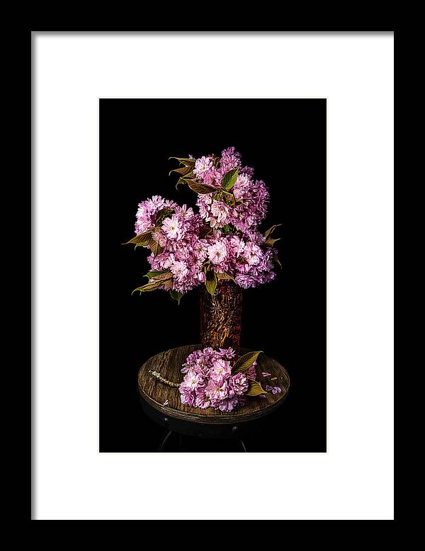 Pink Framed Print featuring the photograph Cherry Blossoms by Judi Kubes