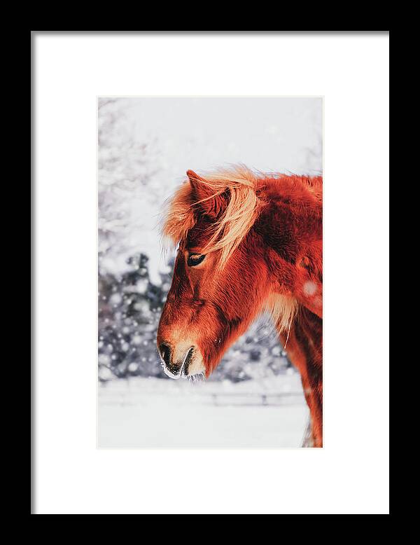 Horse Framed Print featuring the photograph Chestnut Horse in The Snow - Matte Version by Nicklas Gustafsson