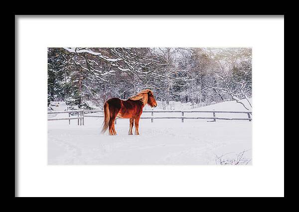 Horse Framed Print featuring the photograph Chestnut Horse in Winter Scene - Matte Version by Nicklas Gustafsson