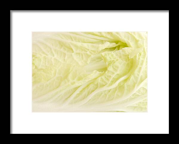 Close-up Framed Print featuring the photograph Chinese Cabbage by Krungchingpixs