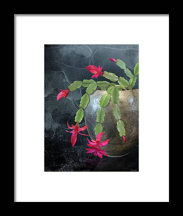 Cactus Framed Print featuring the digital art Christmas Cactus in Silver Pot by M Spadecaller