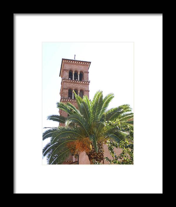  Framed Print featuring the photograph Church Palm by Heather E Harman