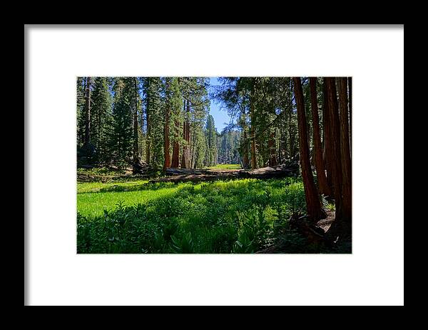 Circle Meadow Framed Print featuring the photograph Circle Meadow Sequoia National Park by Brett Harvey