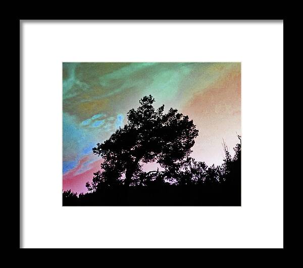 Tree Framed Print featuring the photograph Classic Leaning Tree by Andrew Lawrence