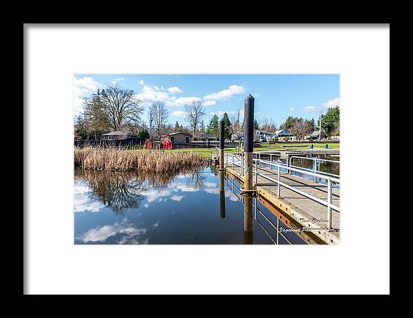 Clear Lake With Reeds Reflecting Framed Print featuring the photograph Clear Lake with Reeds Reflecting by Tom Cochran