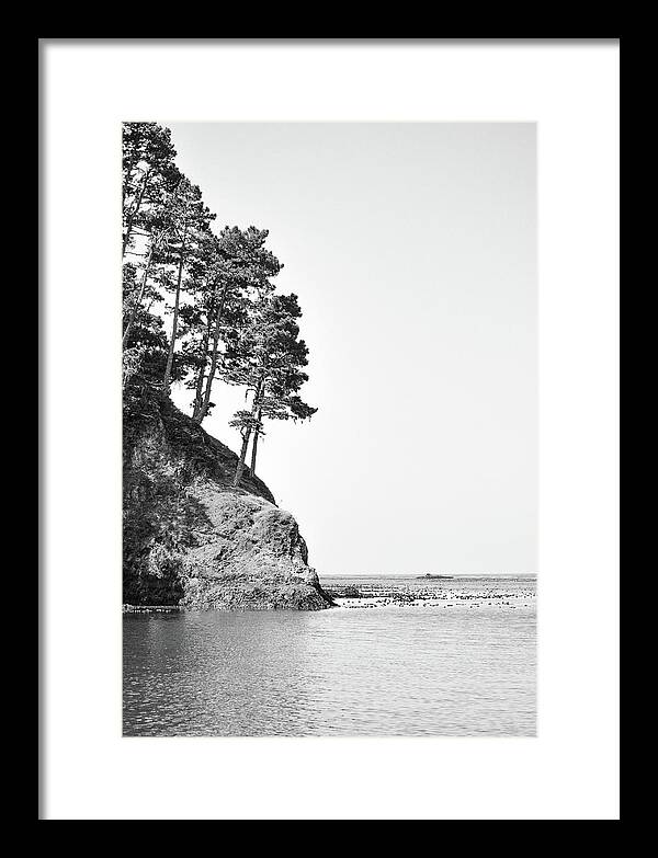 Front View Framed Print featuring the photograph Cliff trees ocean by Mike Fusaro