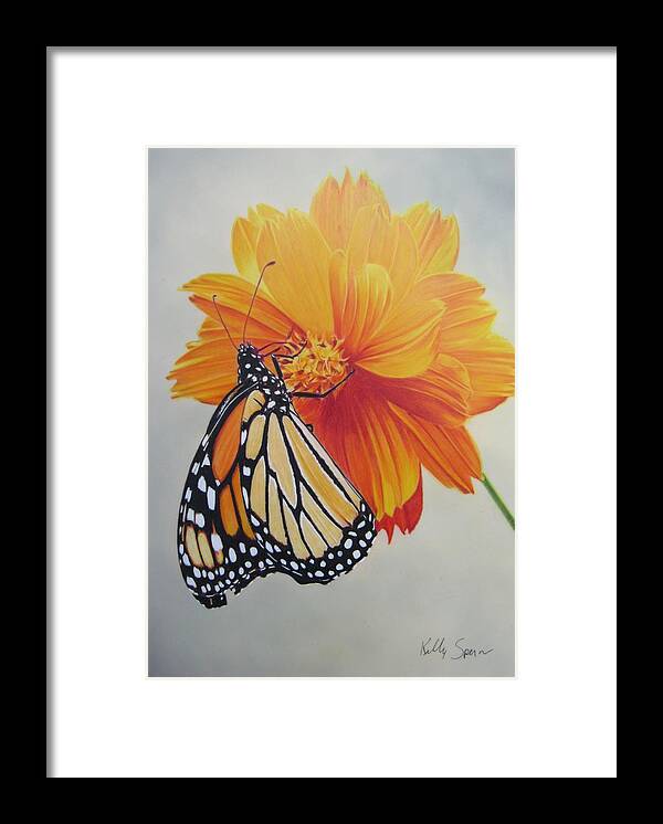 Monarch Framed Print featuring the drawing Climb Every Flower by Kelly Speros