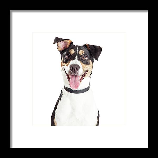 Animal Framed Print featuring the photograph Closeup of Happy Crossbreed Dog Mouth Open by Good Focused