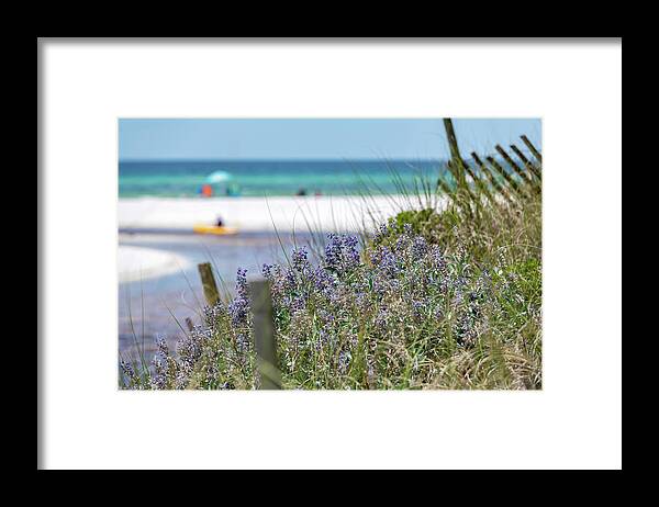Sowal Framed Print featuring the photograph Coastal Dune Lake Blue Lupine by Kurt Lischka