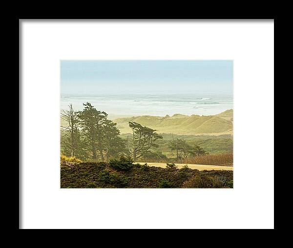  Framed Print featuring the photograph Coastal Sand Dunes by Claude Dalley