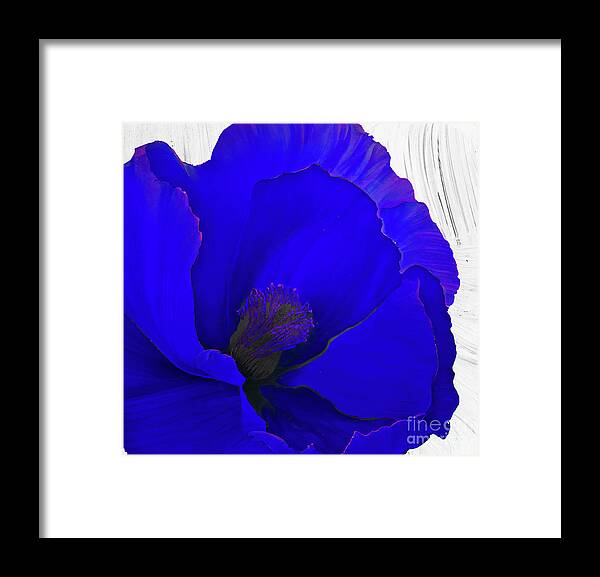 Cobalt Blue Poppy Framed Print featuring the painting Cobalt by Mindy Sommers