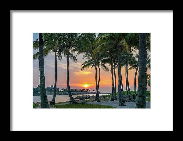 Florida Framed Print featuring the photograph Coconut Trees at Sunrise Dubois Park Jupiter Florida by Kim Seng