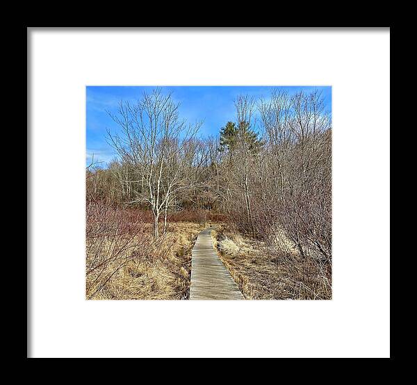 Cold Framed Print featuring the photograph Cold Harbor Trail by Monika Salvan