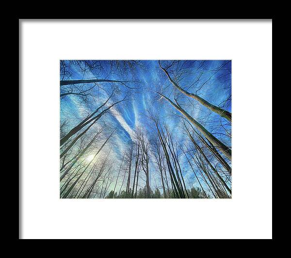Winter Framed Print featuring the photograph Cold Winter Sky by Michael Frank