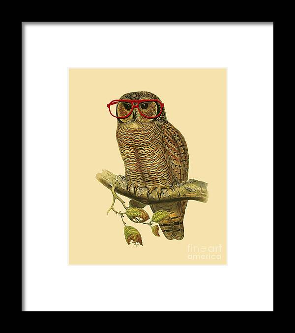 Owl Framed Print featuring the digital art College Student Owl by Madame Memento