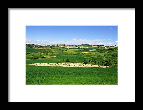 Cattazen Framed Print featuring the photograph 53 Monferrato. Primavera 2019 by Marco Cattaruzzi