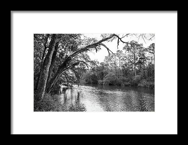 Colonial Dorchester Framed Print featuring the photograph Ashley River View at Colonial Dorchester by Cindy Robinson