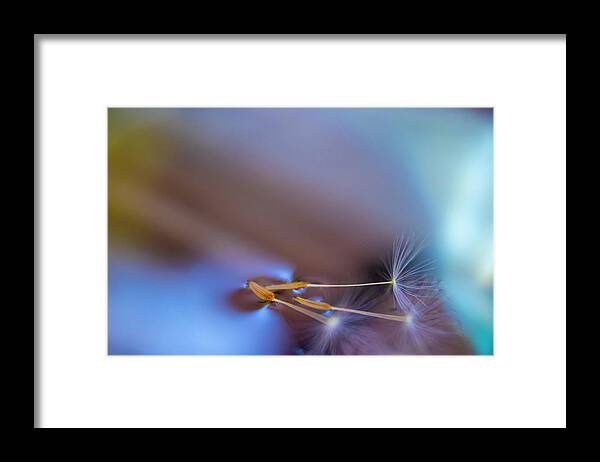 Color Framed Print featuring the photograph Color of nature by MPhotographer
