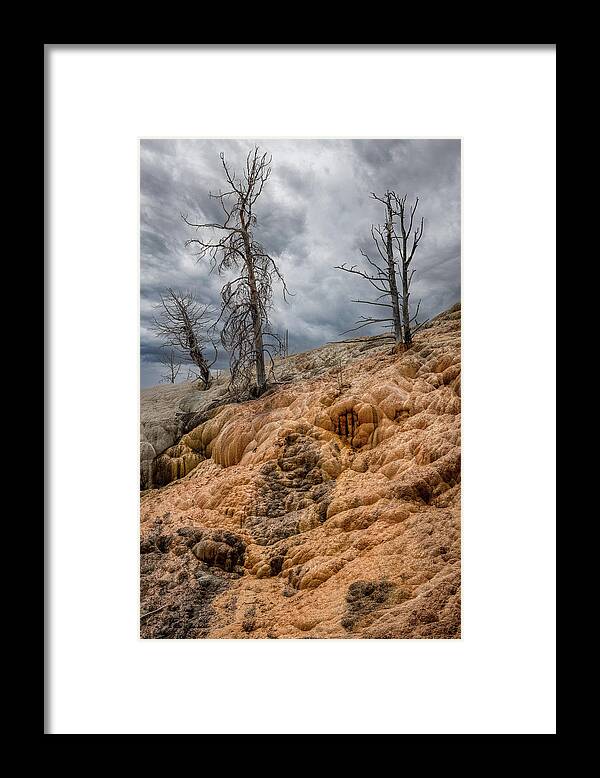 Yellowstone Framed Print featuring the photograph Color of Travertine by Gary Felton