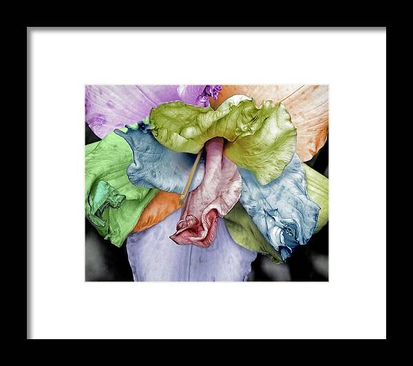Lily Framed Print featuring the photograph Colored Lily 2 by M Kathleen Warren