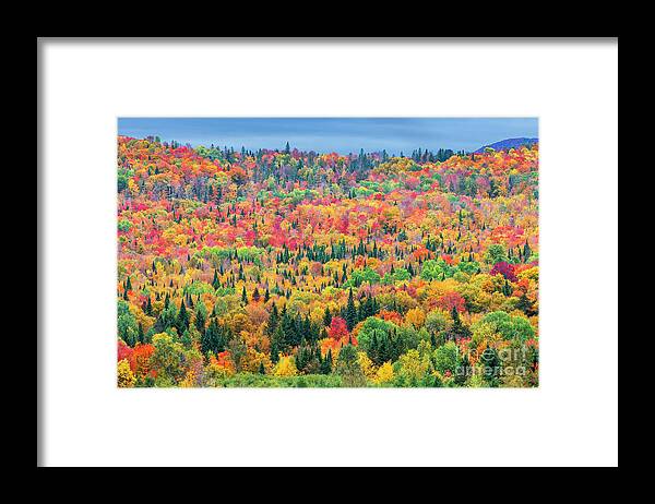 Autumn Framed Print featuring the photograph Colorful Autumn Hillside by Alan L Graham