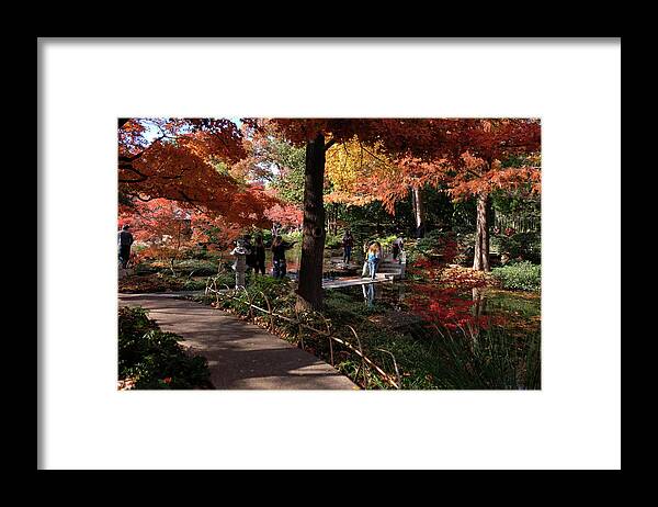 Autumn Framed Print featuring the photograph Colorful Detour by Ricardo J Ruiz de Porras